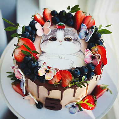 Торт "Котенок" купить - бердск.сладкоежкин.рф